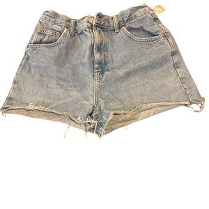 Urban Outfitters BDG Light Blue Jean Shorts